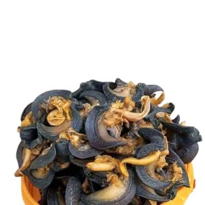 Jumbo dried snail